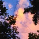 user_12345