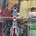 Auri_5314