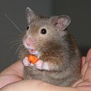 Asher_Mae