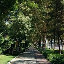 lysand_ra_