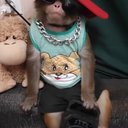 kittayness