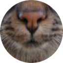 IttyKitty6