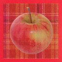 apples_101