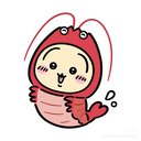 aidybug