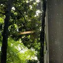 atlantaw