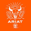 Ari131313