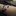 ingridneul