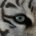 El_Tigre