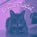 BobTheCat_