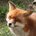 Soha_234