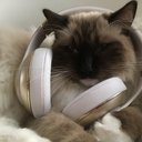 LucyBerry0