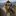 Dominic19-