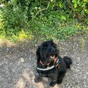 Buddie73