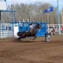 barrelgal