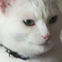 Muylix