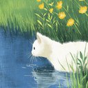 Kittymeow