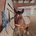 Ari131313