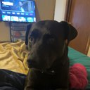 Sammy0313