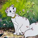 Cat-lady