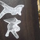 Gus_07