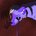Starsun