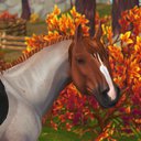 snowsaddle