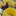 Iga_12