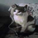 carpetsock