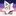 SoulBit28