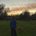 clo_xdy