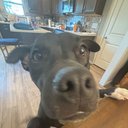 Addy9418