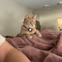 mcmaggie