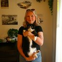shelbycat