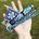 QueenVia22