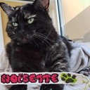 noisette52