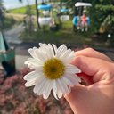 laurenij