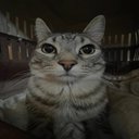 stinkie69