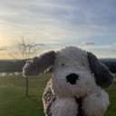 starboybon
