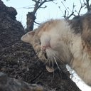 M_Seb
