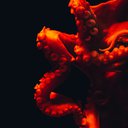 RedPlanet