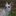 meow12_IV