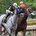 Warhorse