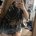 sarahYayy