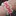 fancy_pump