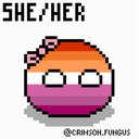 dyltgir
