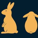 Rabbit1113