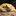 lizard123