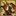kinkajou
