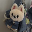 kakacats1