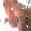 Warhorse